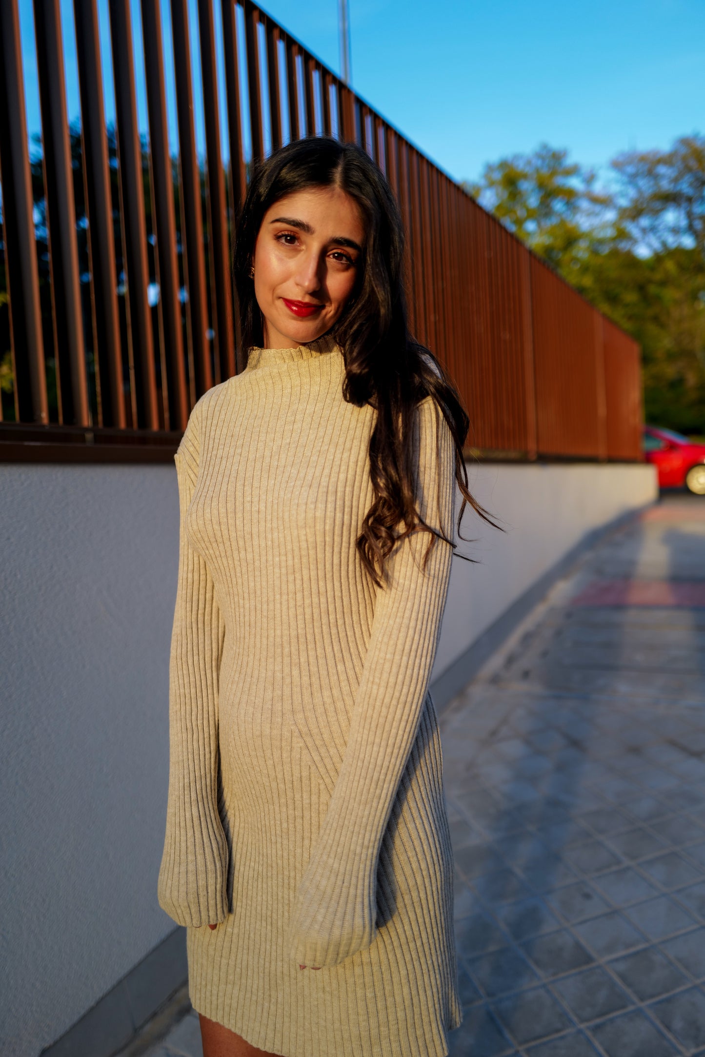 Knit Dress