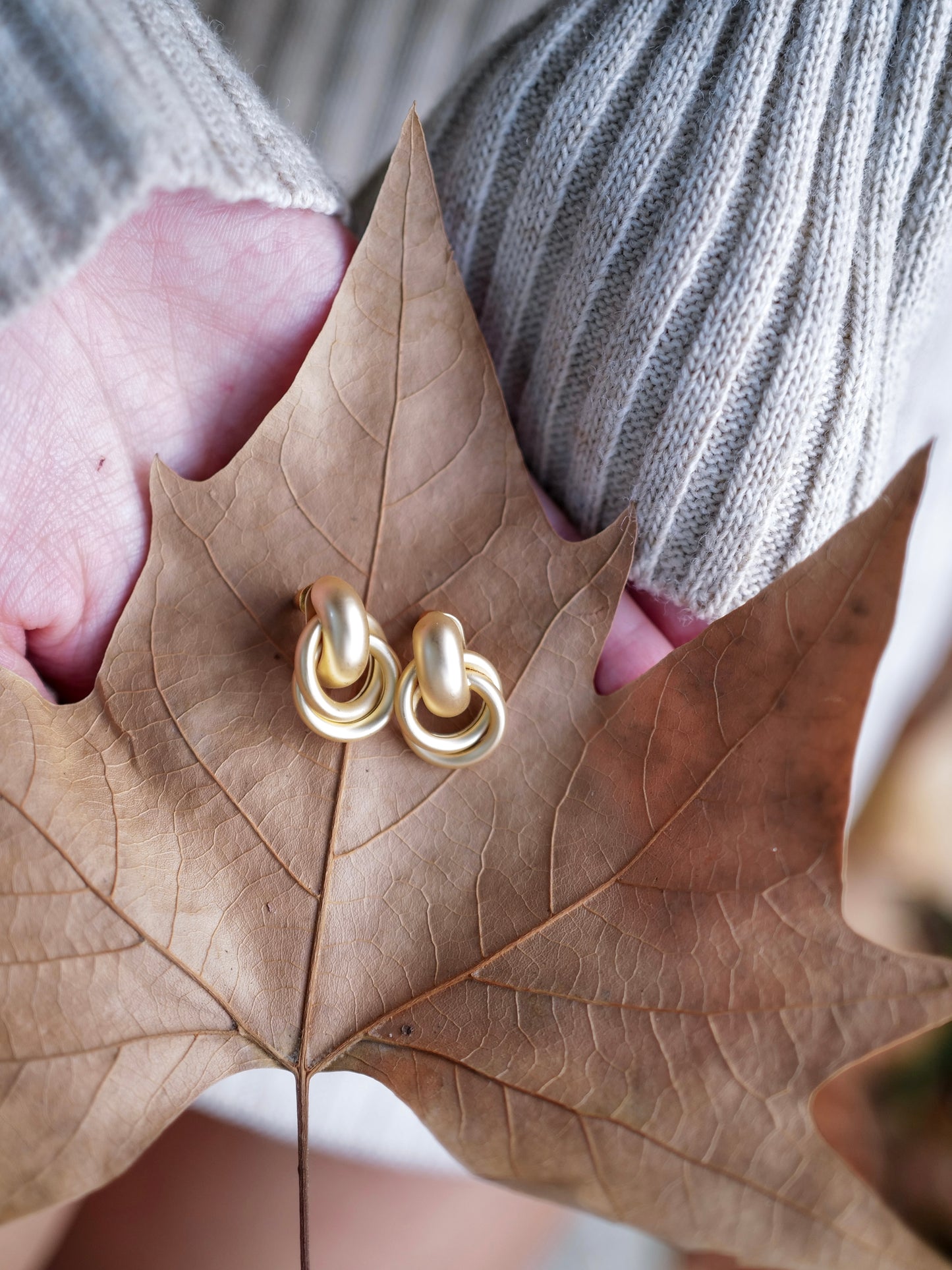 Double Hoop Earrings